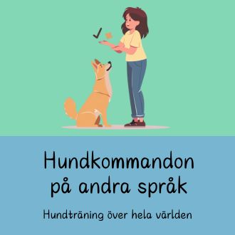 Hundkommandon på andra språk - Hundträning över hela världen